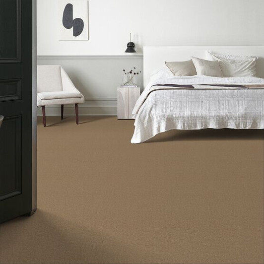 Buy Anderson Tuftex Discover Residential Carpet at Georgia Carpet