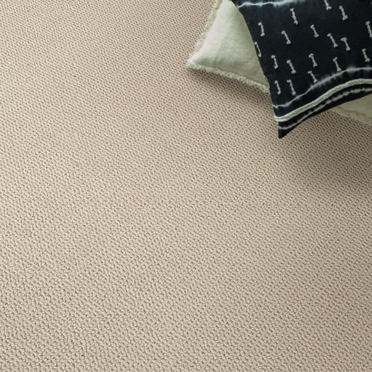 Shaw Anderson Tuftex Yin Collection Purrfection ZZ097 Residential Carpet Room Scene