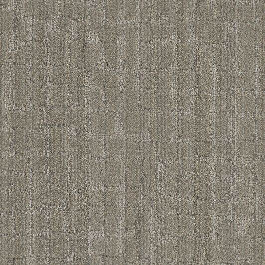 DW Select Artisan 8641 Residential Carpet
