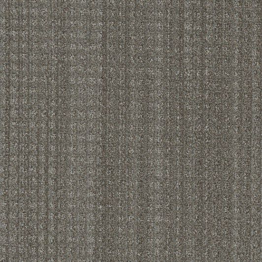 Dreamweaver Select Oxford 8640 Polyester Carpet | Georgia Carpet