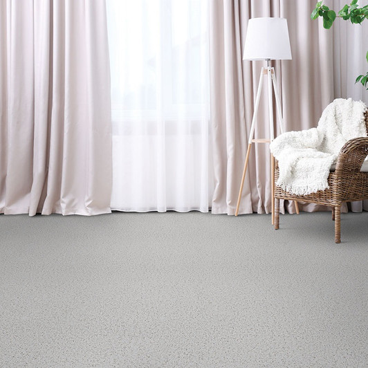 Dixie Home Legit D041 Residential Carpet Room Scene