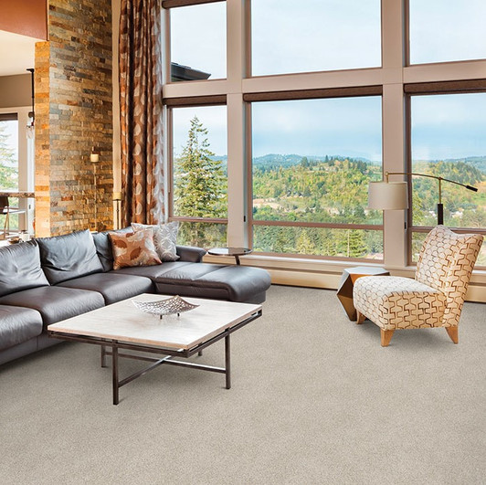 Dixie Home Magic Moment 6946 Residential Carpet Room Scene