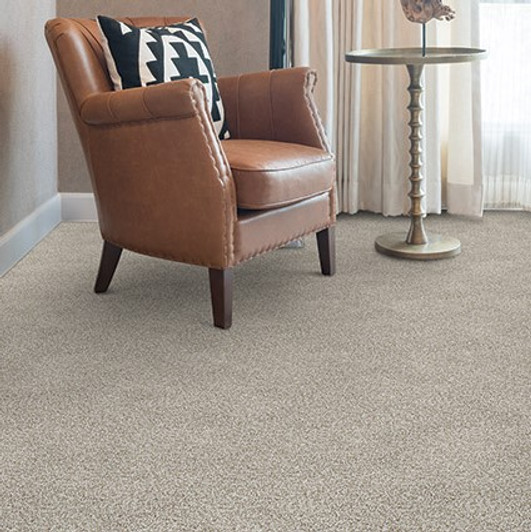 Dixie Home New Age D031 Residential Carpet Room Scene