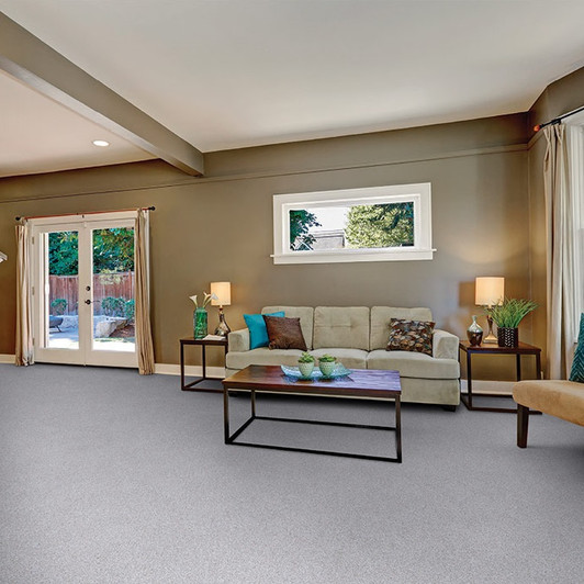 Dixie Home Rochelle D013 Residential Carpet Room Scene Dixie Home Rochelle D013 Residential Carpet Room Scene