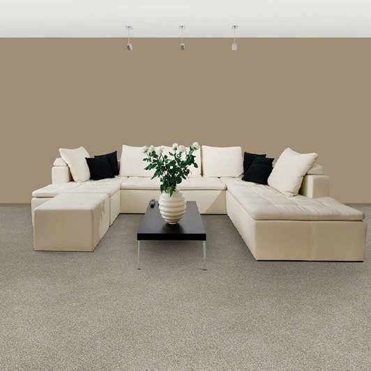Dixie Home Semitones 2358 Residential Carpet Room Scene