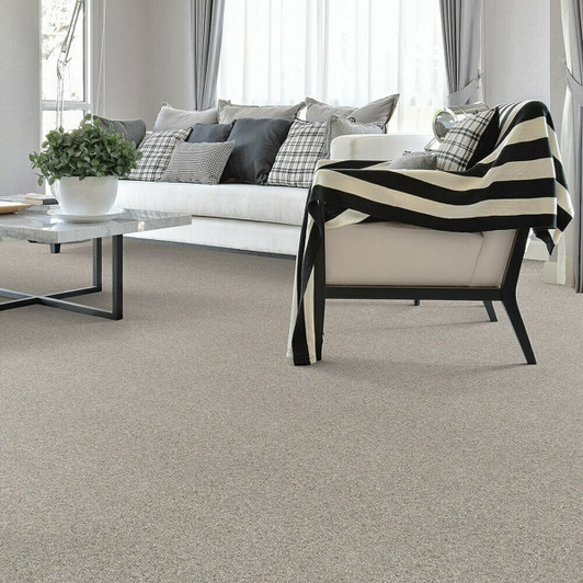 Dream Weaver Natural Wonder I 3345 Residential Carpet Room Scene
