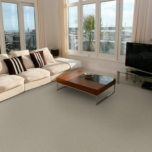 Dixie Home Touch of Velvet 5650 Residential Carpet Room Scene