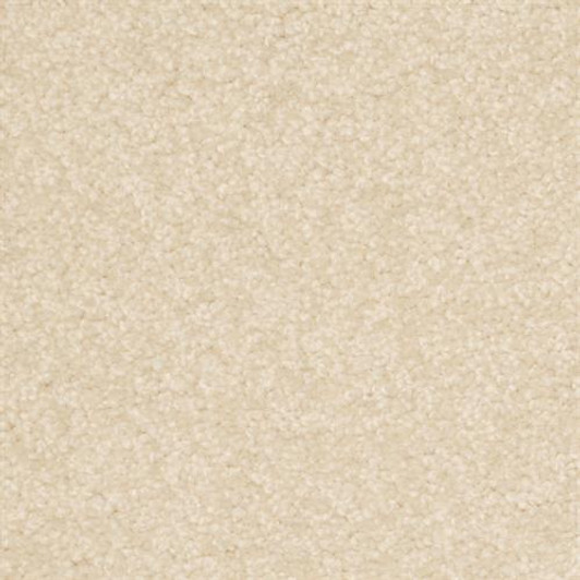 Dixie Home Treasured Moment 6949 Residential Carpet