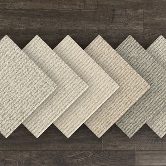 Stanton Antrim Clarity Wool Fiber Residential Carpet Room Scene