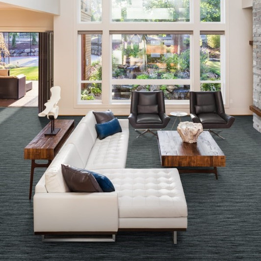 Kaleen Beach Bottom BCB13 Residential Carpet Room Scene