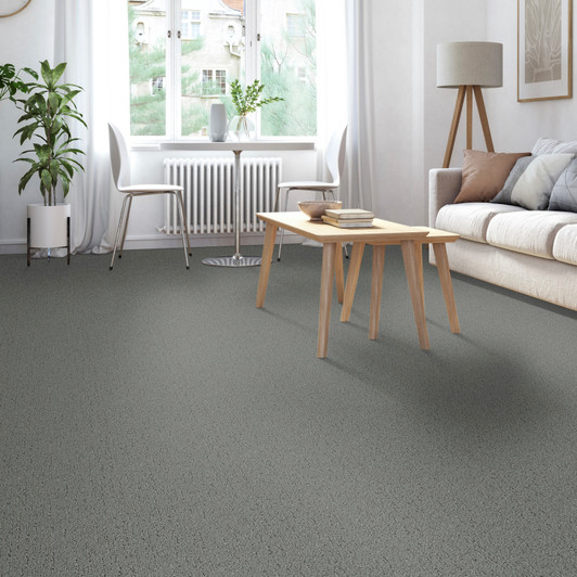 Tarkett Astoria R3056 Residential Carpet Room Scene