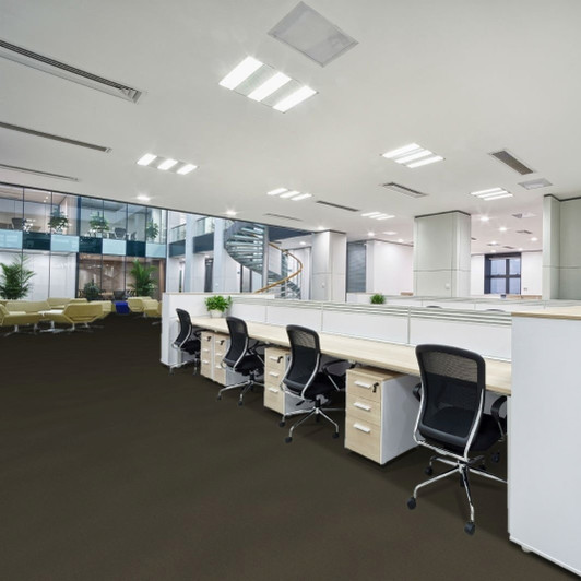 Engineered Floors Pentz Grandview 3060B Commercial Carpet Room Scene