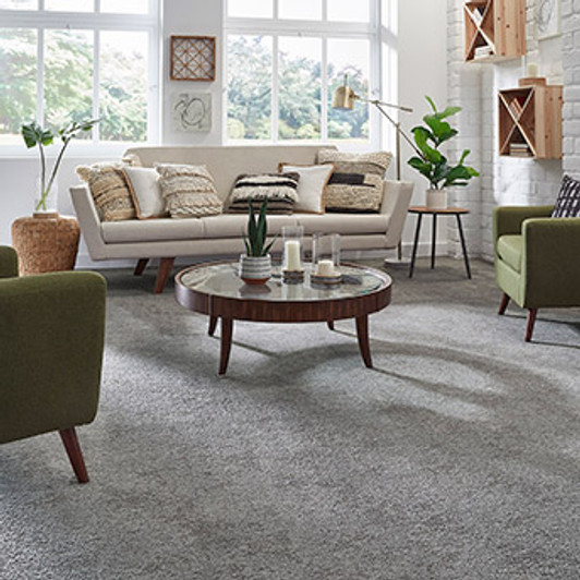 Masland Buena Vida 9680 Residential Carpet Room Scene