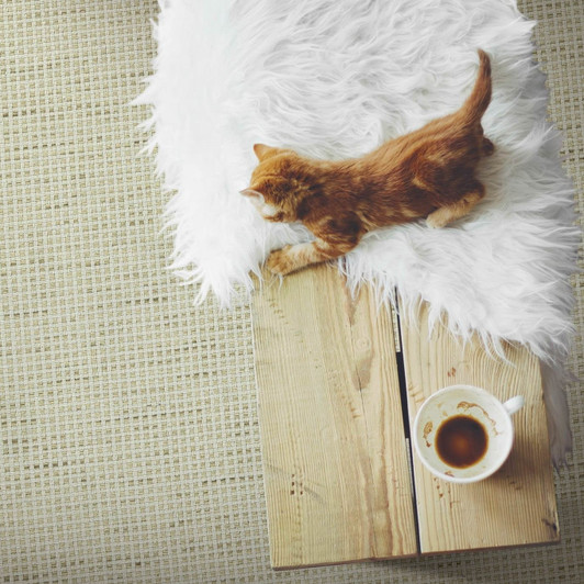 Kaleen Green Cay 16'4" GRC16 Residential Carpet Room Scene