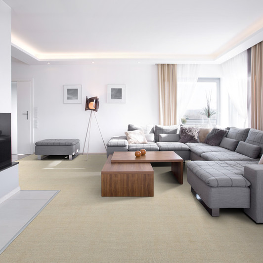 Kaleen Highfly HIF13 Residential Carpet Room Scene