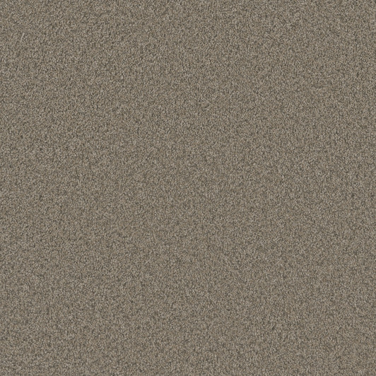 Dreamweaver Blazer I 6340 Residential Carpet