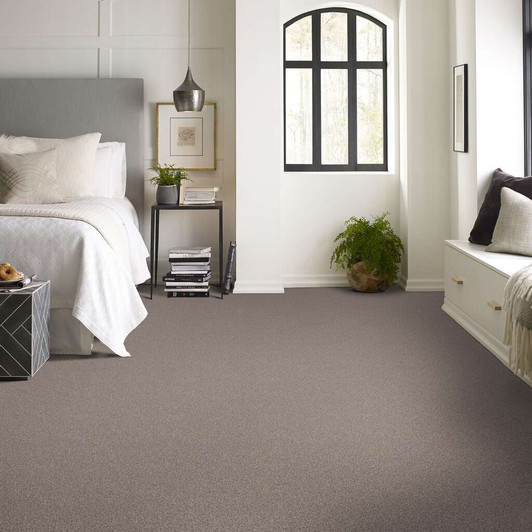 Shaw Pet Perfect Influencer 5E443 Residential Carpet Room Scene