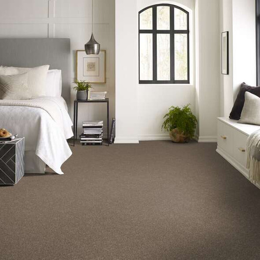 Shaw Pet Perfect Yes You Can II 12' 5E569 Residential Carpet Room Scene Shaw Pet Perfect Yes You Can II 12' 5E569 Residential Carpet Room Scene