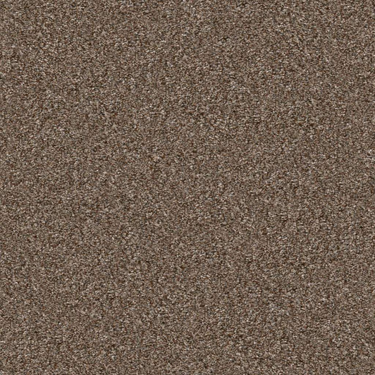 Shaw Pet Perfect Yes You Can III 12' 5E570 Residential Carpet