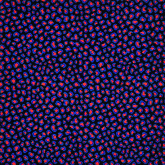 Joy Carpets Neon Lights Afterglow Fluorescent 467 Commercial Broadloom Carpet Florescent