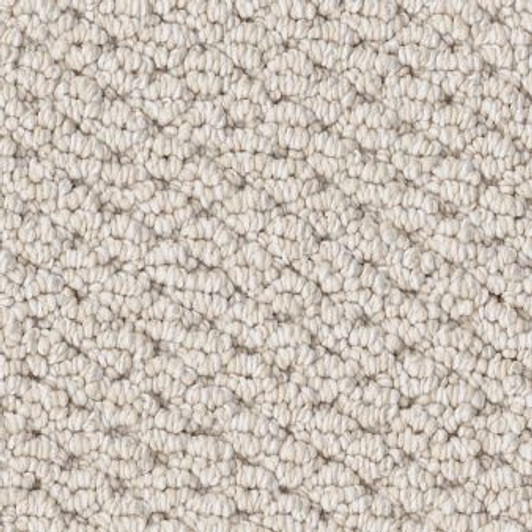 Shaw Foundations Faint Intent 5E441 12' Residential Carpet