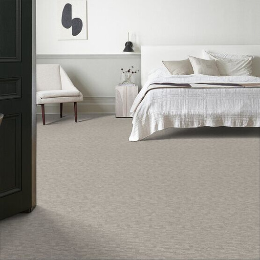 Anderson Tuftex Pet Perfect Plus Sneak Peek 12' ZZ260 Residential Carpet Room Scene