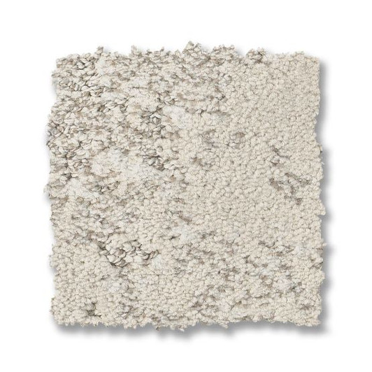 Anderson Tuftex Pet Perfect Plus Fancy That ZZ270 Residential Carpet