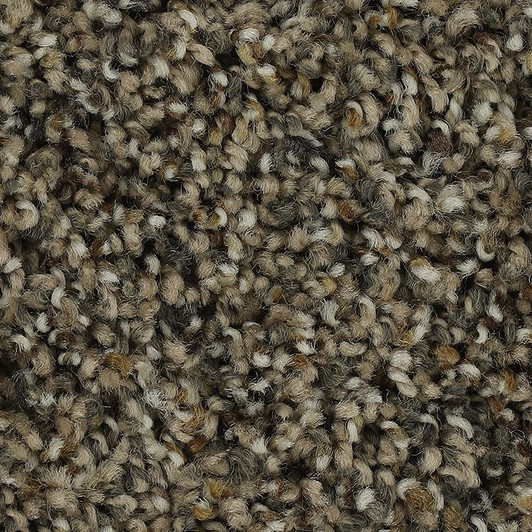 Mohawk SmartStrand Captivating Outlook 3B88 Residential Carpet