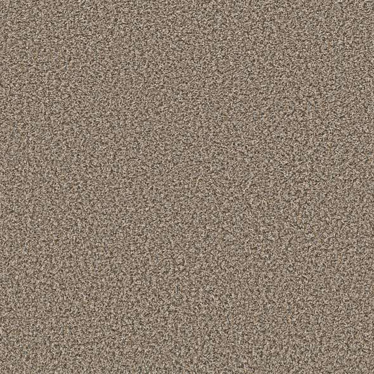Shaw Break Away Berber 5E242 Residential Carpet