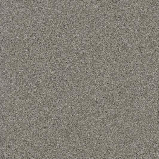 Buy Dreamweaver Titan I 4640 Carpet at Georgia Carpet for Great Value