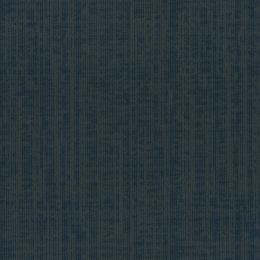 Engineered Floors Pentz Omnia 6911B Commercial Carpet