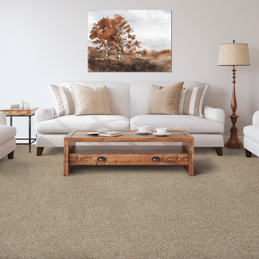 Mohawk Residential Carpet Carpet