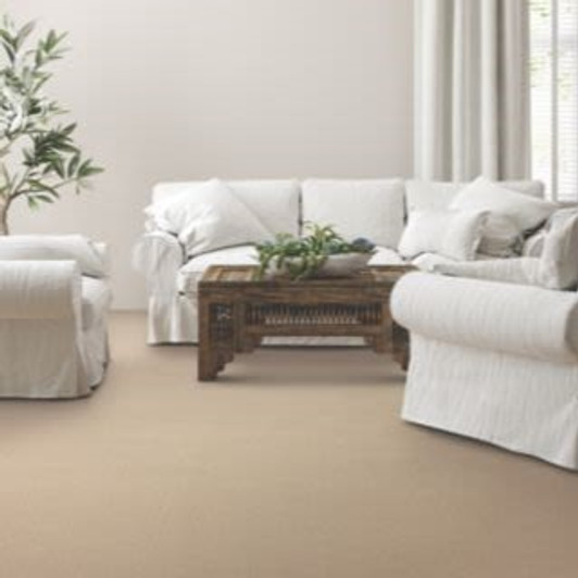 Mohawk SmartStrand Global Perspective 3D99 Residential Carpet Room Scene