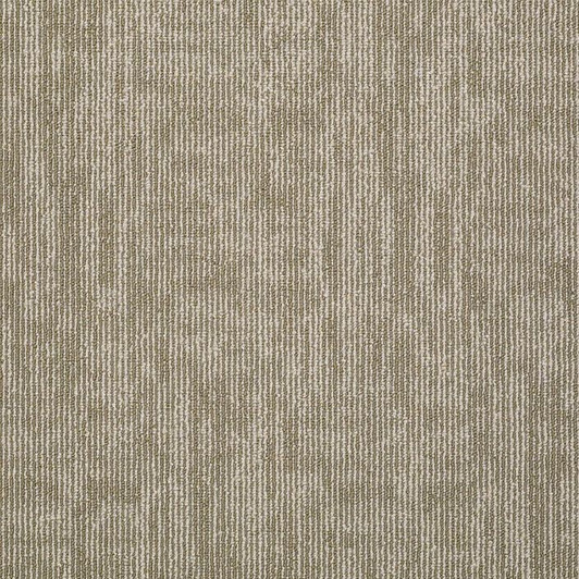 Shaw Philadelphia SP704 Commercial Carpet Tile
