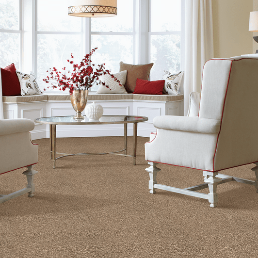 Godfrey Hirst SmartStrand Stylish Grace Residential Carpet Room Scene