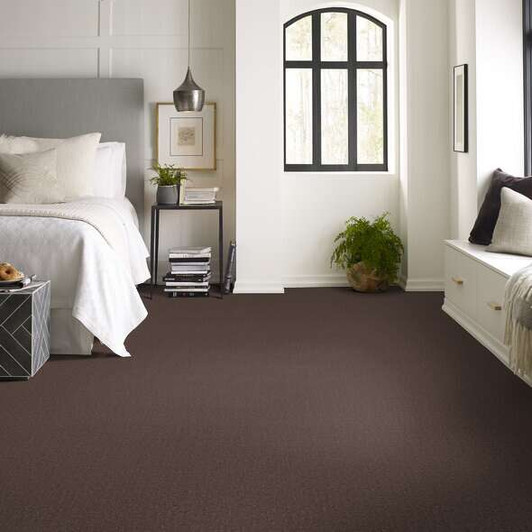 Shaw Anso Colorwall Canvas Comfort 5E659 Residential Carpet Room Scene