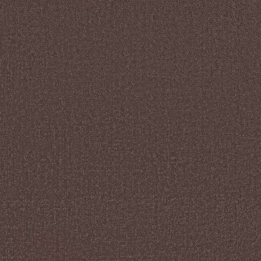 Shaw Anso Colorwall Canvas Comfort 5E659 Residential Carpet