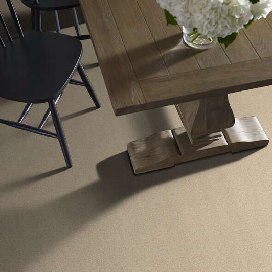 Shaw Anso Colorwall Tonal Comfort I 5E656 Residential Carpet Room Scene