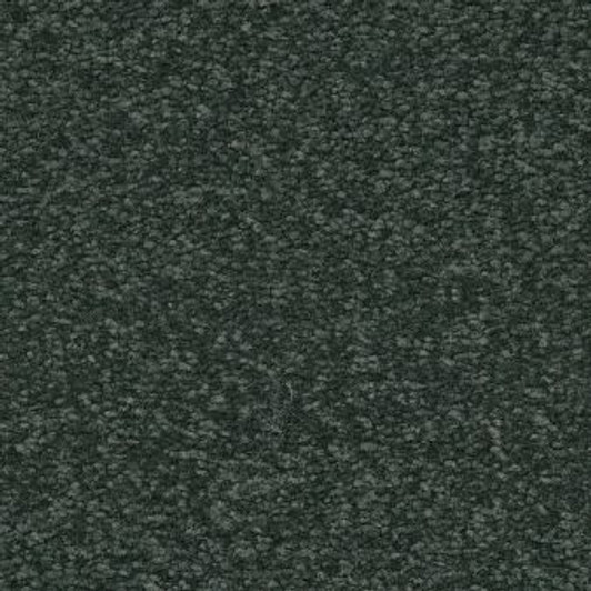 Shaw Awaken Spirit II 15' 5E692 Residential Carpet