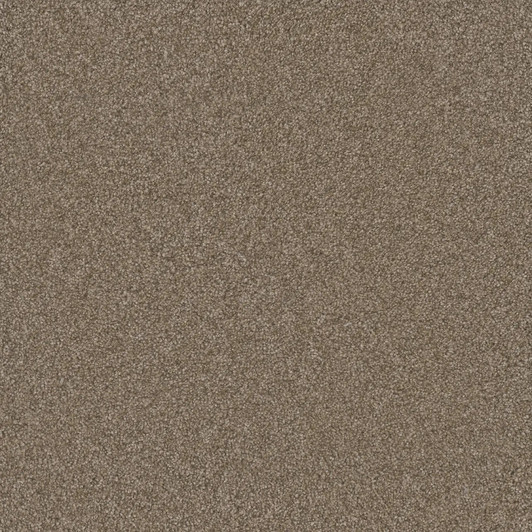 Buy Dreamweaver Silver Lining IV 7533 Residential Carpet at