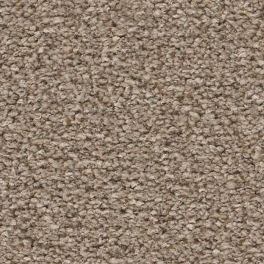 Shaw Ultra Lavish Pet Perfect is Available for a Great Price at