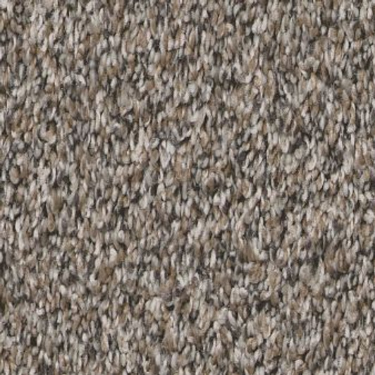 Shaw Remixed Classic Pet Perfect 5E679 Residential Carpet