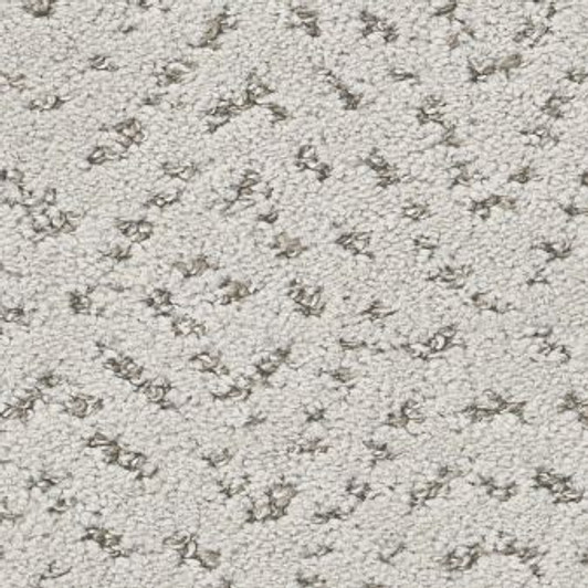 Shaw Elaborate Artifact Pet Perfect Plus 5E696 Residential Carpet