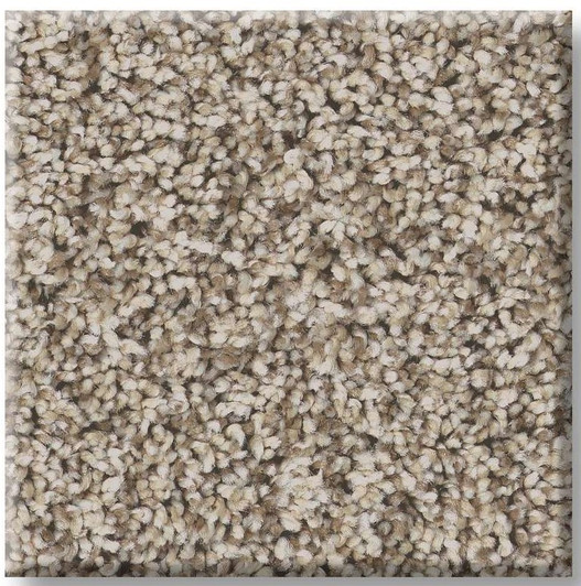 Shaw Renewed Energy I Pet Perfect Plus 5E671 Residential Carpet