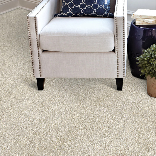 Stanton Atelier Renew Evolve Residential Carpet Room Scene