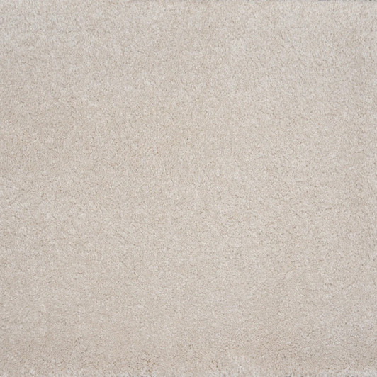 Stanton Atelier Renew Evolve Residential Carpet