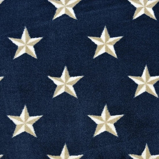 Stanton Atelier Marquee Starstruck Residential Carpet