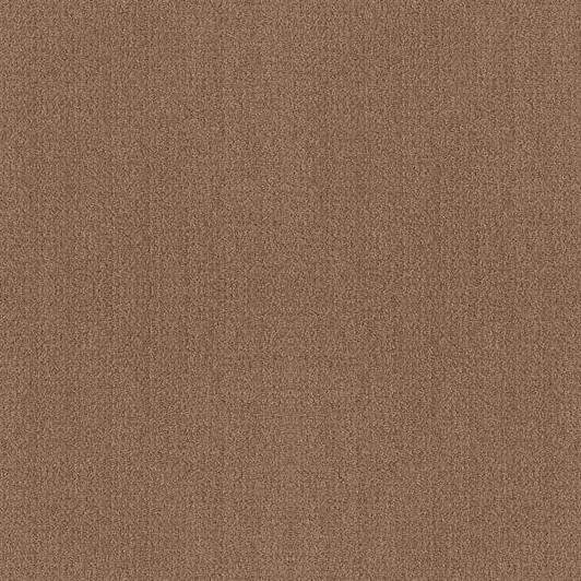 Shaw Foundations Fine Tapestry 5E446 Residential Carpet