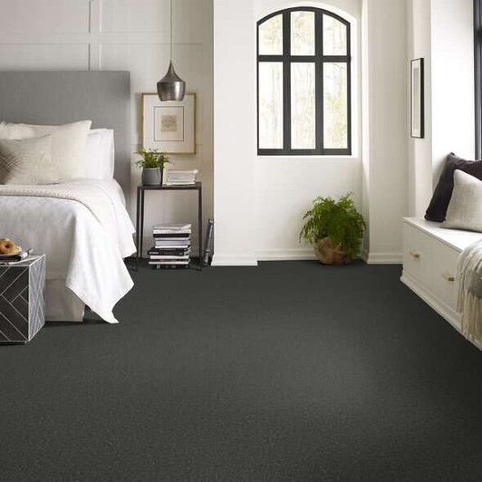 Shaw Simply The Best Best Yet 5E745 Residential Carpet Room Scene