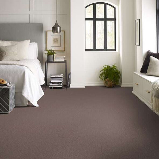 Shaw Loyal Beauty III EA164 Residential Carpet Room Scene